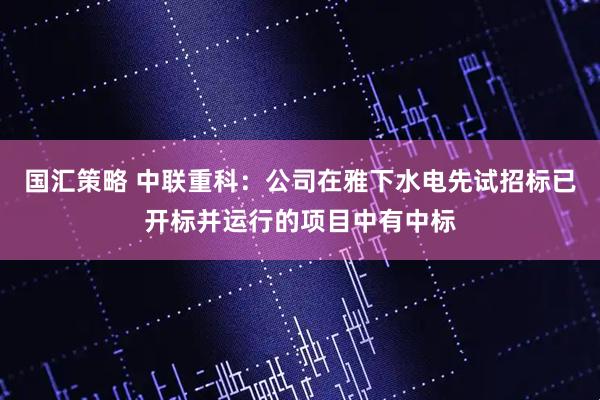 国汇策略 中联重科：公司在雅下水电先试招标已开标并运行的项目中有中标