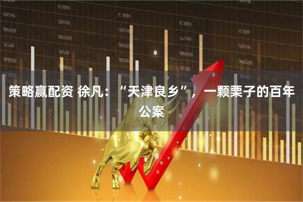 策略赢配资 徐凡：“天津良乡”，一颗栗子的百年公案